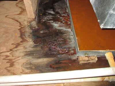 About water damage cleanup - ceiling water damage repair experts in Gardner