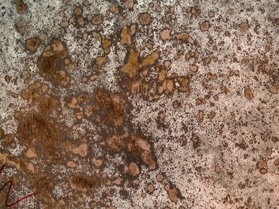 Professional ceiling water damage repair services in Gardner - water damage cleanup