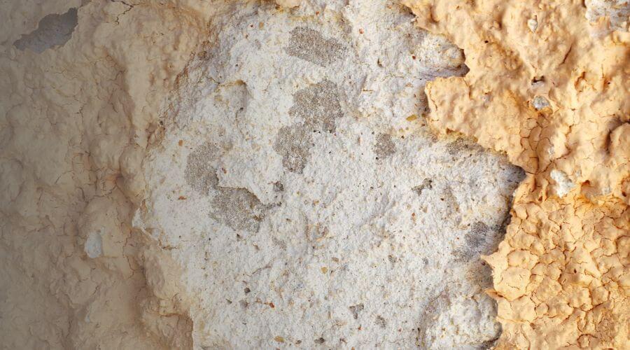 Why choose water damage cleanup for ceiling water damage repair in Gardner